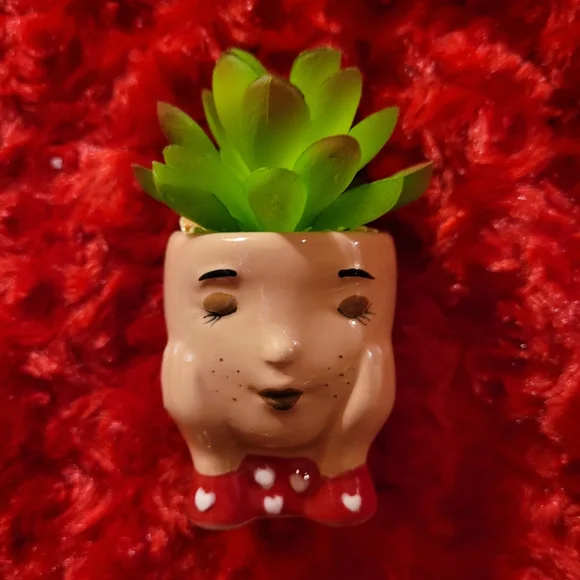 Kohl's Celebrate Together™ Valentine's Day Artificial Succulent Planter 3-pieces - Picture 10 of 16